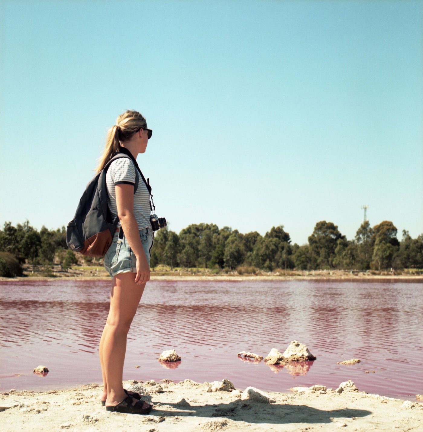 Kodak Portra 160 Colour Negative Film (120)